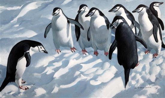 § Keith Shackleton (1923-2015) Flipper - Marked for Science - Chinstrap penguins 17.5 x 29.5in.